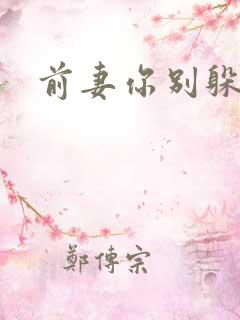 前妻你别躲