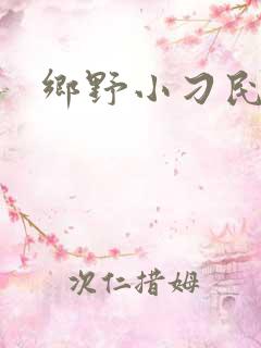 乡野小刁民正版