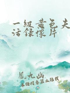 一级黄色夫妻生活录像片