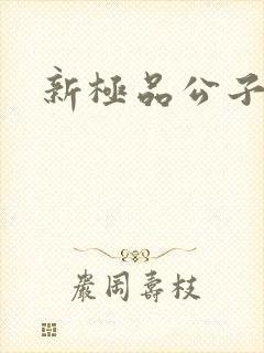 新极品公子