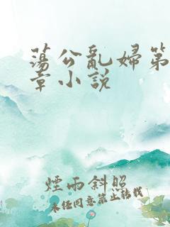 荡公乱妇第51章小说