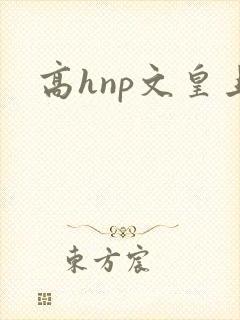 高hnp文皇上