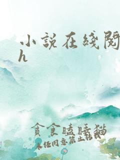 小说在线阅读高h