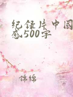 纪录片中国观后感500字