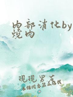 内部消化by红烧肉