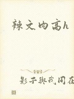 辣文肉高h