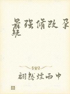 最强修改孕妇系统