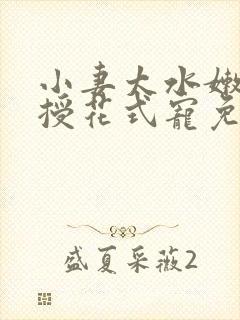 小妻太水嫩陆教授花式宠免费阅读视频