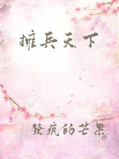 拥兵天下