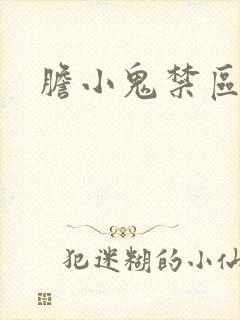 胆小鬼禁区