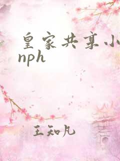 皇家共享小公主nph