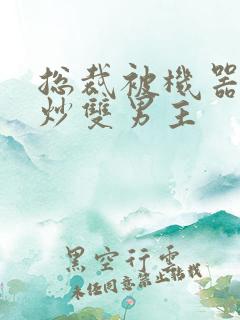 总裁被机器人爆炒双男主