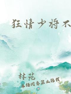 狂情少将不良妻