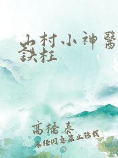 山村小神医之王铁柱