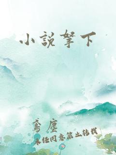 小说拿下