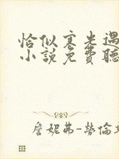 恰似寒光遇骄阳小说免费听书在线