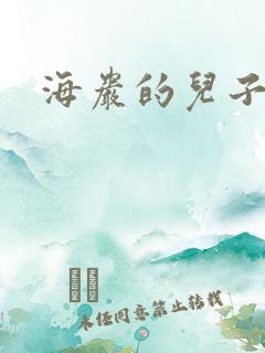 海岩的儿子