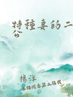 特种妻的二手老公
