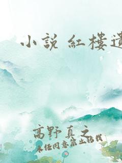 小说 红楼遗秘
