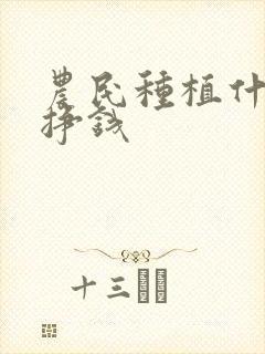 农民种植什么能挣钱