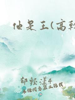 他是王(高干)