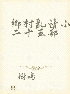 乡村乱情小说第二十五部