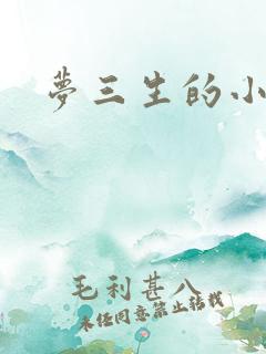 梦三生的小说