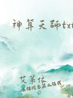 神算天师txt