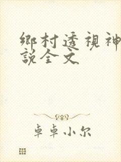 乡村透视神医小说全文