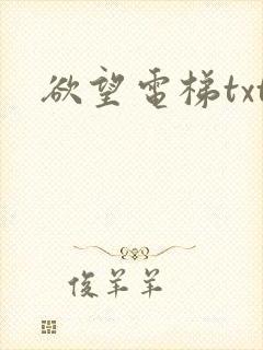 欲望电梯txt