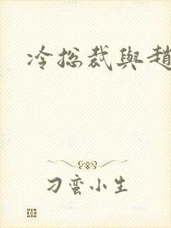 冷总裁与赵大牌