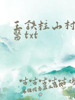 王铁柱山村小神医txt