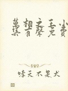 万相之王小说全集有声免费听
