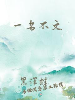 一名不文