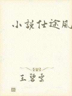 小说仕途风流