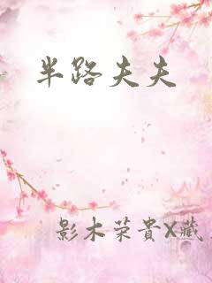 半路夫夫