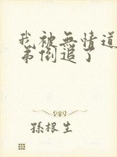 我被无情道小师弟倒追了
