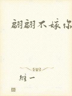 翩翩不嫁你2