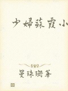 少妇苏霞小说