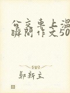 公交车上温暖的瞬间作文500字