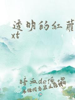 透明的红萝卜txt