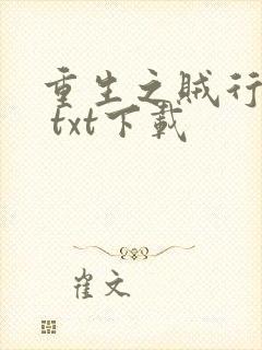 重生之贼行天下 txt下载