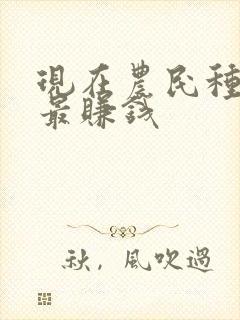 现在农民种什么最赚钱