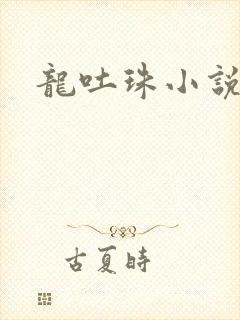 龙吐珠小说