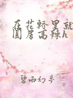 在花轿里就开始圆房高辣h