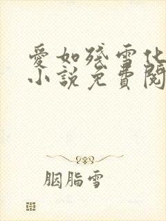 爱如残雪化无声小说免费阅读