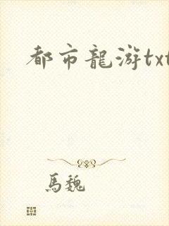 都市龙游txt