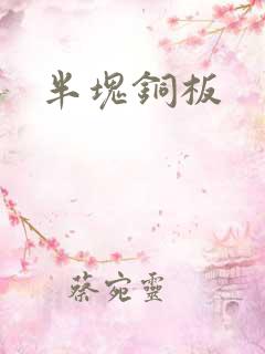半块铜板