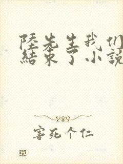 陆先生我们终于结束了小说免费阅读