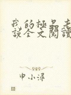 我的极品老婆小说全文阅读免费